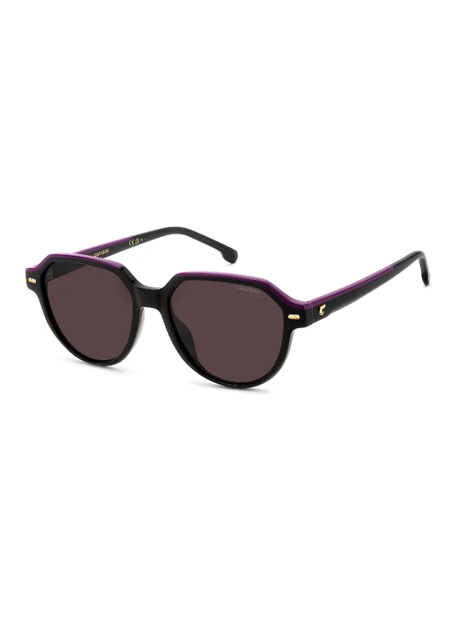 كاريرا Round Carrera Sunglasses